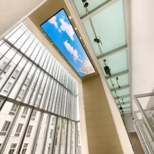 LED Video Wall im Wintergarten der Hauptstadt-Räpresentanz der Bertelsmann AG. Geplant und installiert von Pro Video GmbH