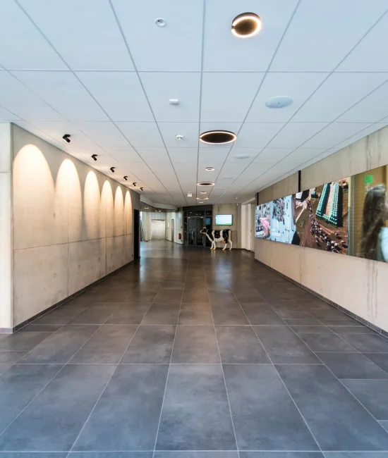 Digital Signage-Display im Kreistag Parchim zur Besucherinformation – installiert von PRO VIDEO GmbH