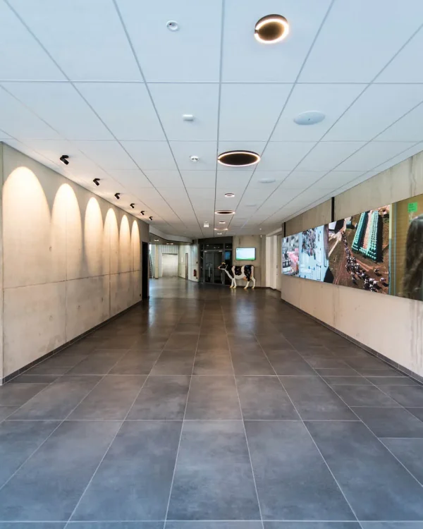 Digital Signage-Display im Kreistag Parchim zur Besucherinformation – installiert von PRO VIDEO GmbH